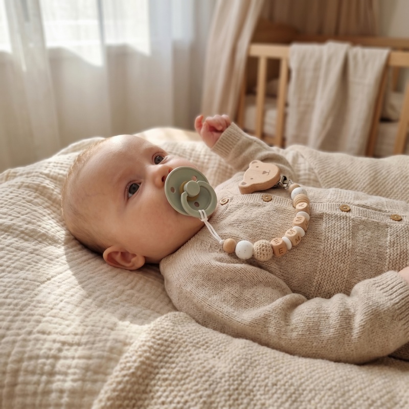 Klip Dot Bayi Personalisasi Na - Baby Food Teether ulasan dan harga